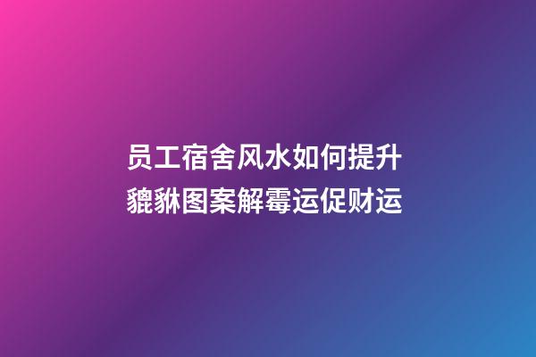 员工宿舍风水如何提升 貔貅图案解霉运促财运
